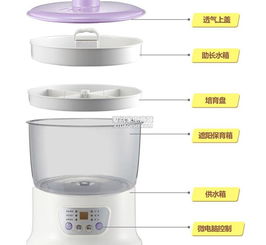 北京小熊DYJ-S6108豆芽机批发代理厂家、产品信息与技术开发全解析