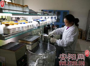 河南金百合 以微观世界探秘驱动生物科技创新，开拓市场营销新蓝海